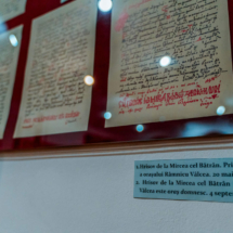 Muzeul de Istorie a Județului Vâlcea Hai La Valcea